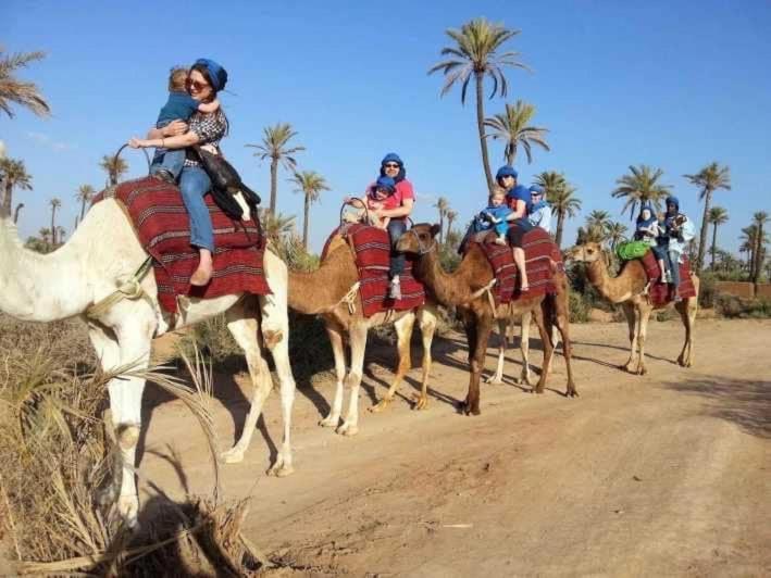 Tres Beau Riad A Marrakech Avec Piscines Marrakesh Eksteriør billede